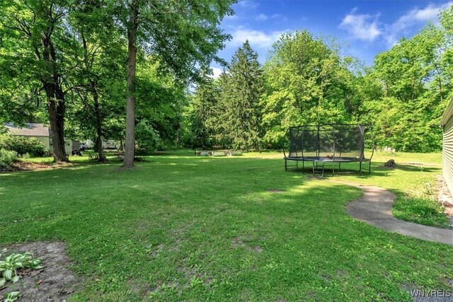 3101 Woodland Ave, Niagara, NY 14304 - photo 4