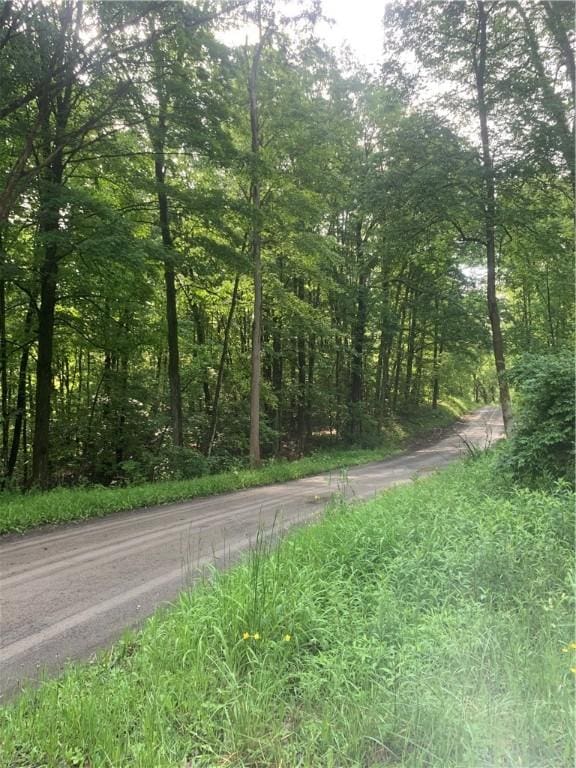3565 Texas Hollow Rd, Hector, NY 14818