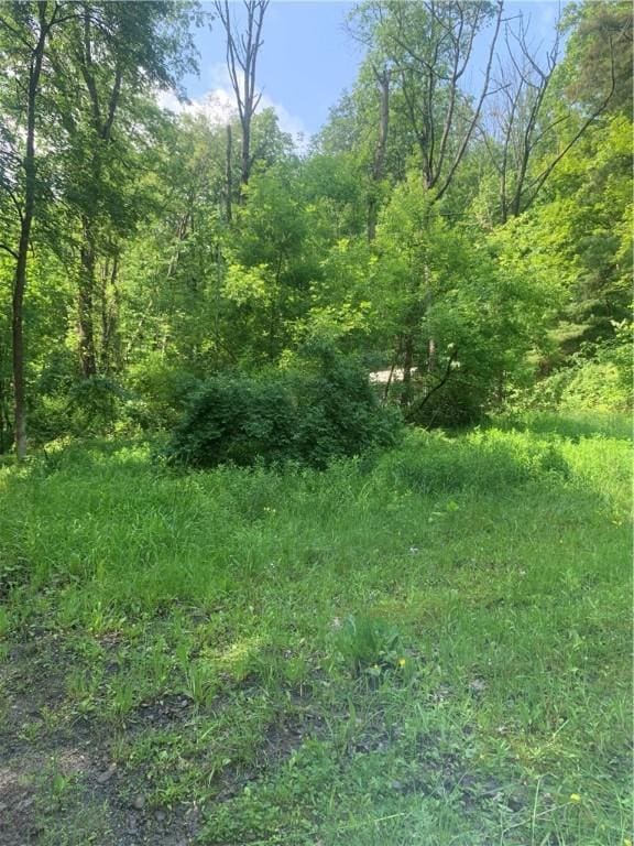 3565 Texas Hollow Rd, Hector, NY 14818
