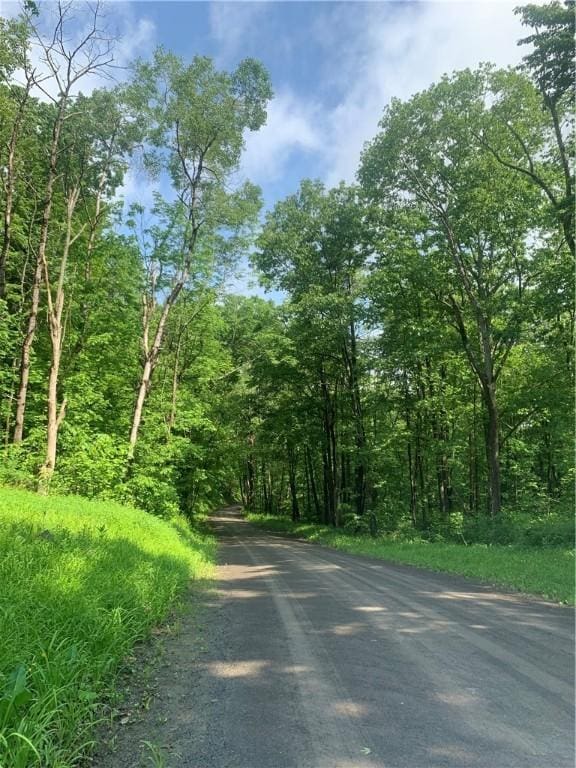 3565 Texas Hollow Rd, Hector, NY 14818
