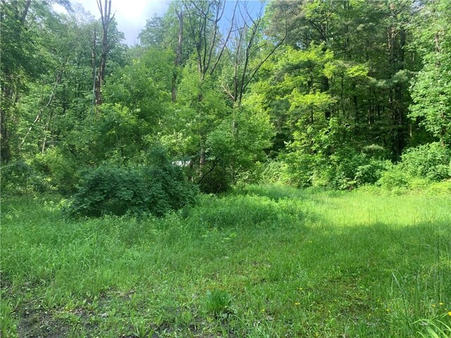 3565 Texas Hollow Rd, Hector, NY 14818