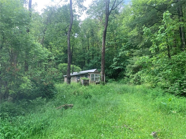 3565 Texas Hollow Rd, Hector, NY 14818