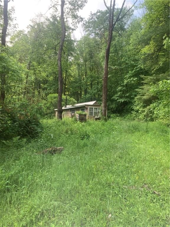 3565 Texas Hollow Rd, Hector, NY 14818