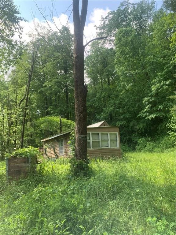 3565 Texas Hollow Rd, Hector, NY 14818