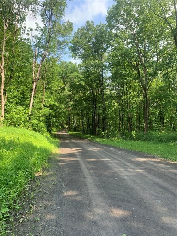 3565 Texas Hollow Rd, Hector, NY 14818