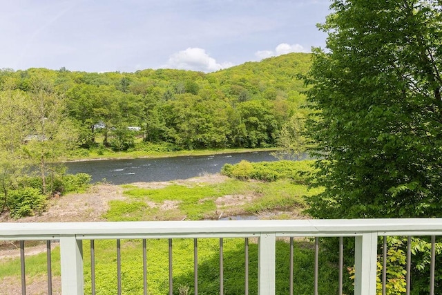 455 Peas Eddy Rd, Hancock, NY 13783 - photo 6