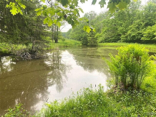 3656 Putt Brook Rd, Ward, NY 14880 - photo 5