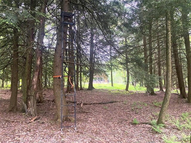 3656 Putt Brook Rd, Ward, NY 14880 - photo 34