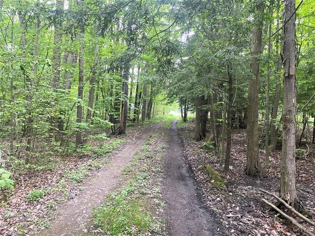 3656 Putt Brook Rd, Ward, NY 14880 - photo 35