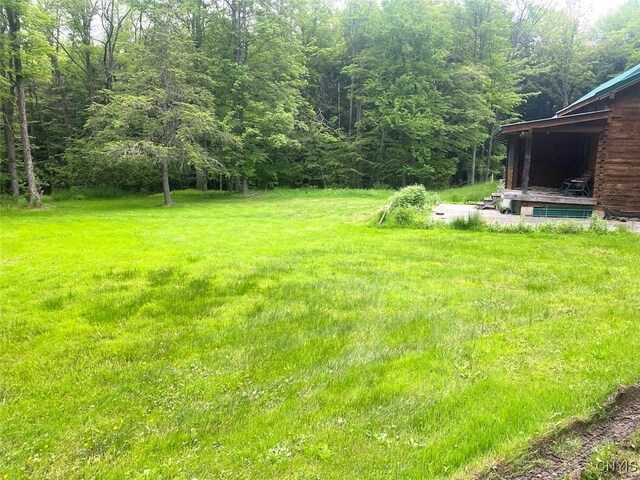 3656 Putt Brook Rd, Ward, NY 14880 - photo 24