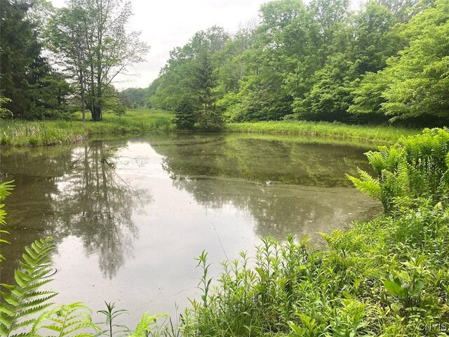 3656 Putt Brook Rd, Ward, NY 14880 - photo 27