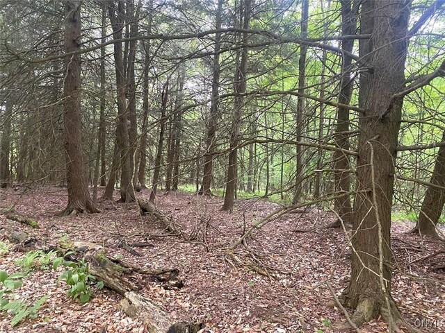 3656 Putt Brook Rd, Ward, NY 14880 - photo 28