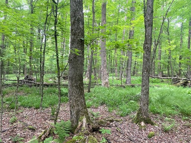 3656 Putt Brook Rd, Ward, NY 14880 - photo 29