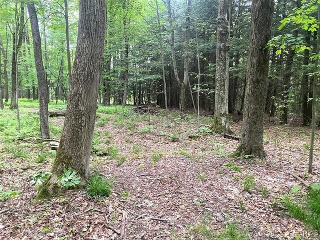 3656 Putt Brook Rd, Ward, NY 14880 - photo 30