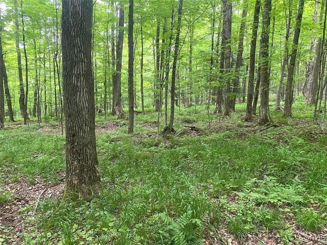 3656 Putt Brook Rd, Ward, NY 14880 - photo 32