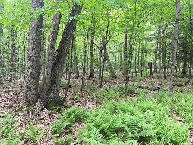 3656 Putt Brook Rd, Ward, NY 14880 - photo 33