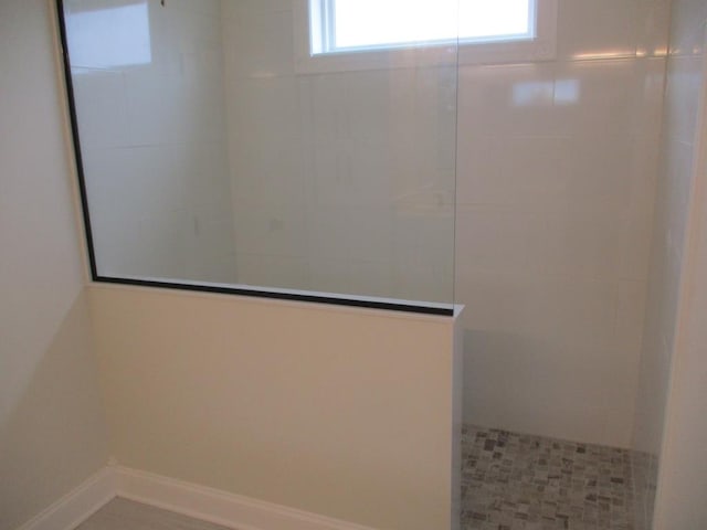 6 Royal Ct, Horseheads, NY 14845 - bathroom featuring a walk in shower