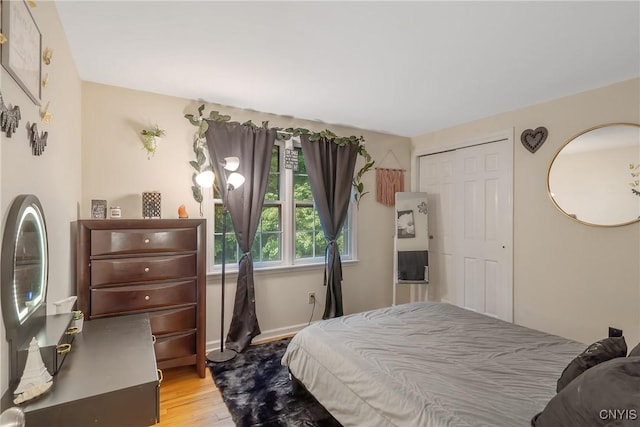 223 Windcrest Dr, Camillus, NY 13031 - bedroom with light wood-style flooring and a closet