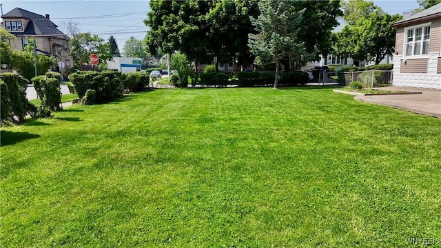 87 Burch Ave, West Seneca, NY 14210 - view of green lawn