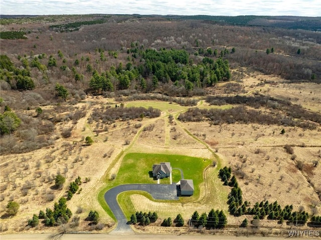 8770 Old State Rd, Allen, NY 14709 - aerial view of sparsely populated area