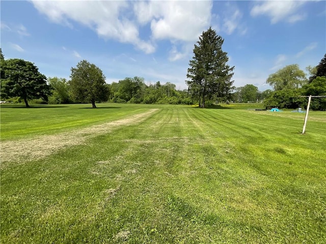 201 S Main St, Wayland, NY 14572 - view of property's community featuring a lawn and view of scattered trees