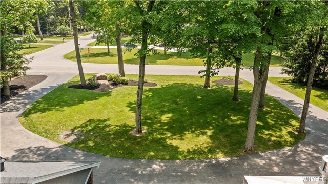 9800 Hollingson Rd, Clarence, NY 14031 - photo 39