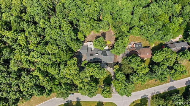 9800 Hollingson Rd, Clarence, NY 14031 - photo 43