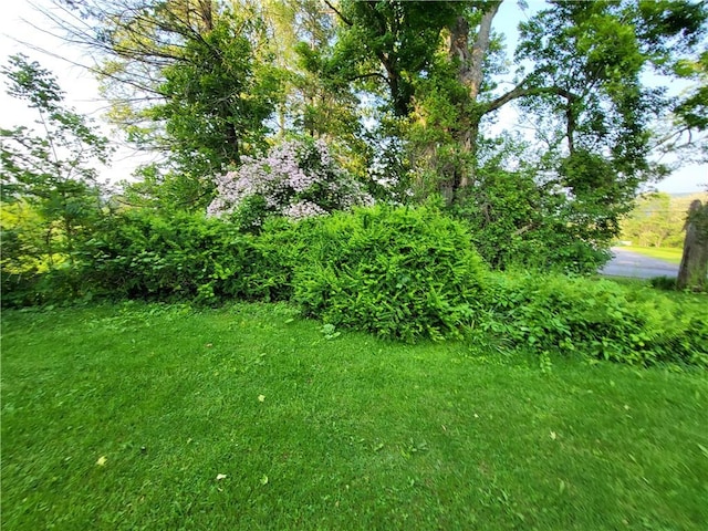 1041 County Road 23, Sherburne, NY 13460 - photo 22