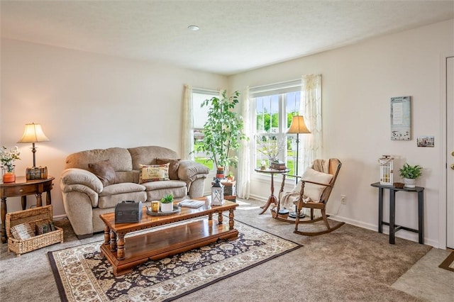 14 Glenn Hvn, Ogden, NY 14559 - living room featuring carpet floors and baseboards