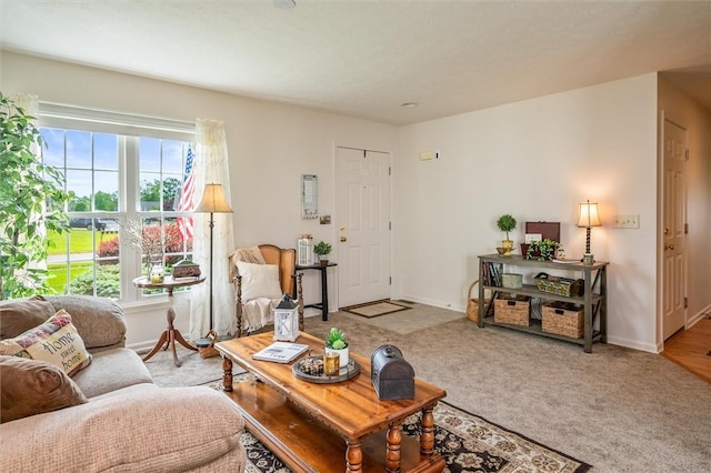 14 Glenn Hvn, Ogden, NY 14559 - living room with baseboards and carpet