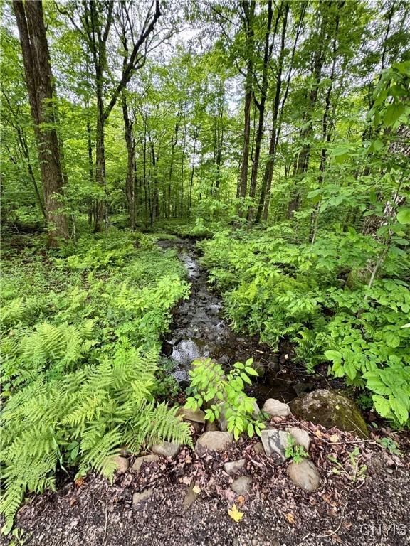 30 Town Line Rd, Orwell, NY 13144 - photo 28