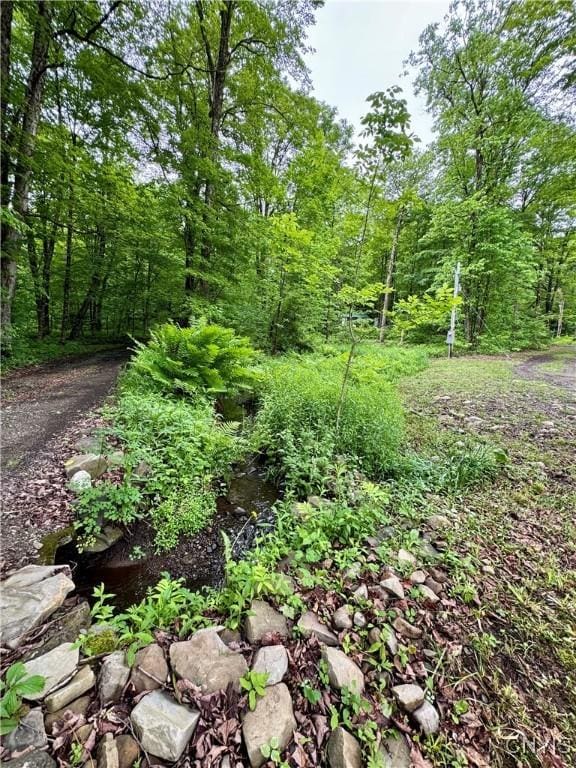 30 Town Line Rd, Orwell, NY 13144 - photo 29