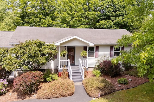 26 Prospect St, Delhi, NY 13753 - view of front facade featuring a porch