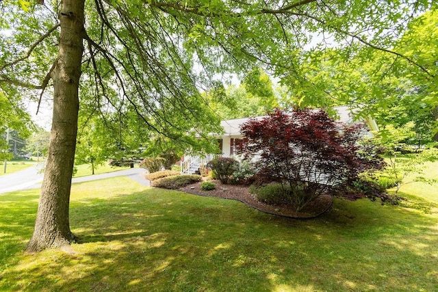26 Prospect St, Delhi, NY 13753 - view of grassy yard