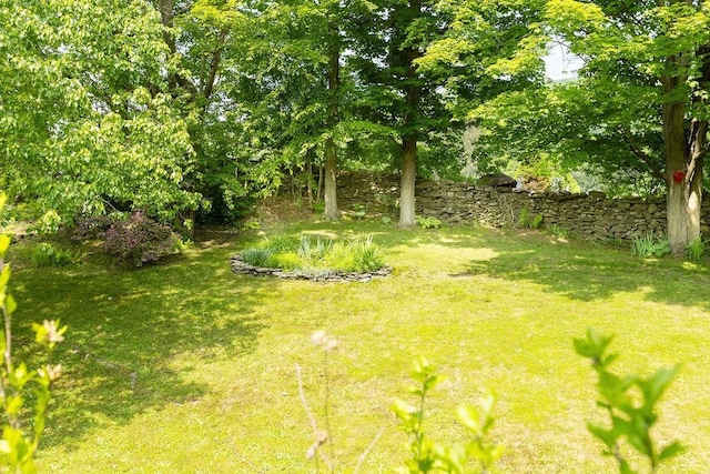 26 Prospect St, Delhi, NY 13753 - view of green lawn