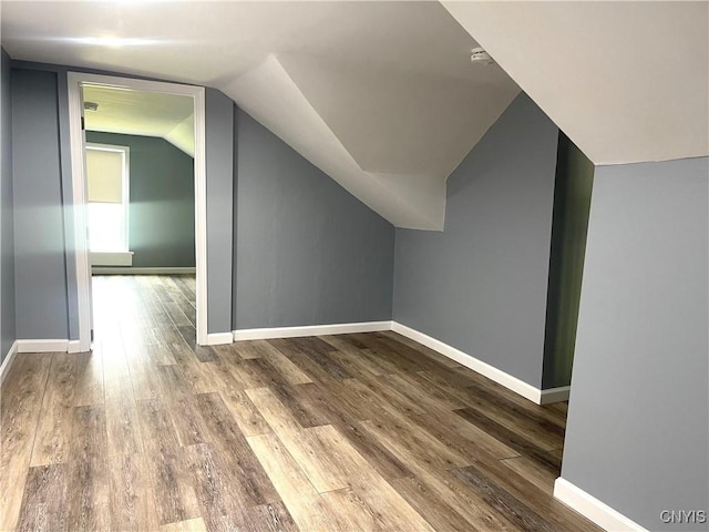 8807 N Main St, Le Ray, NY 13637 - additional living space with wood finished floors, baseboards, and lofted ceiling