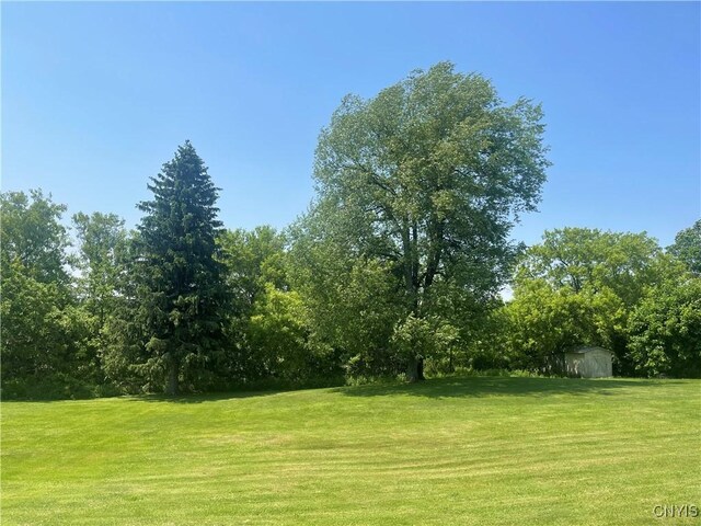 8807 N Main St, Le Ray, NY 13637 - view of grassy yard