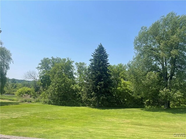 8807 N Main St, Le Ray, NY 13637 - view of green lawn