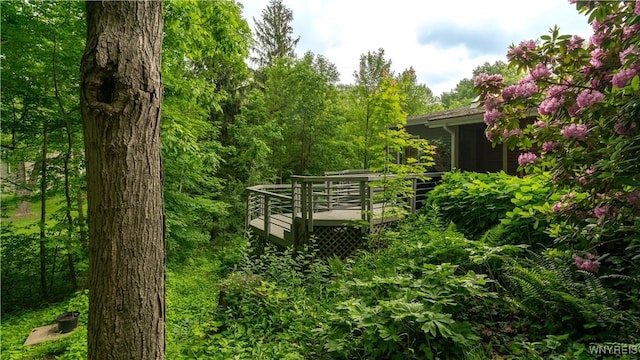 43 Larned Ln, Orchard Park, NY 14127 - view of community featuring a wooden deck and a forest view