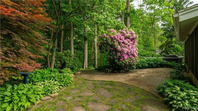 43 Larned Ln, Orchard Park, NY 14127 - view of yard with a patio area