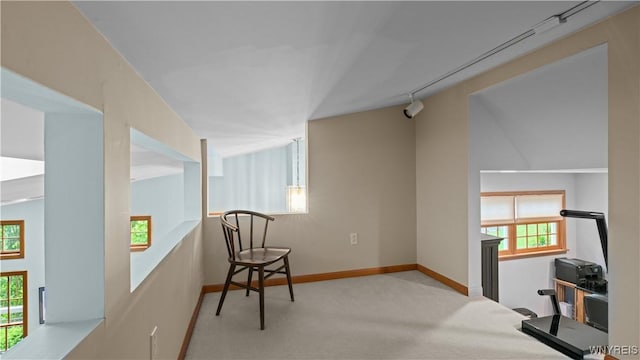 43 Larned Ln, Orchard Park, NY 14127 - corridor with carpet and plenty of natural light