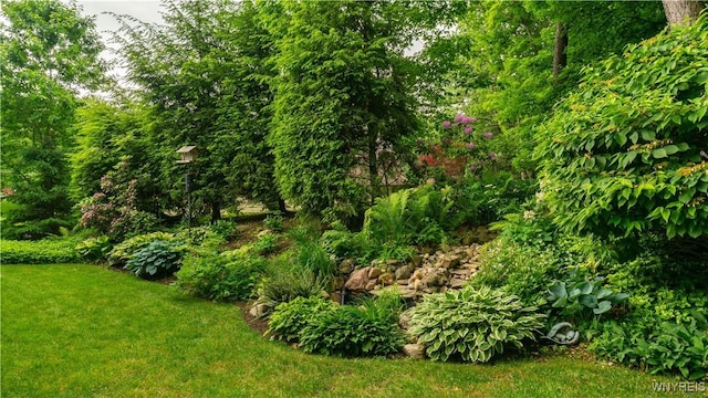 43 Larned Ln, Orchard Park, NY 14127 - view of green lawn