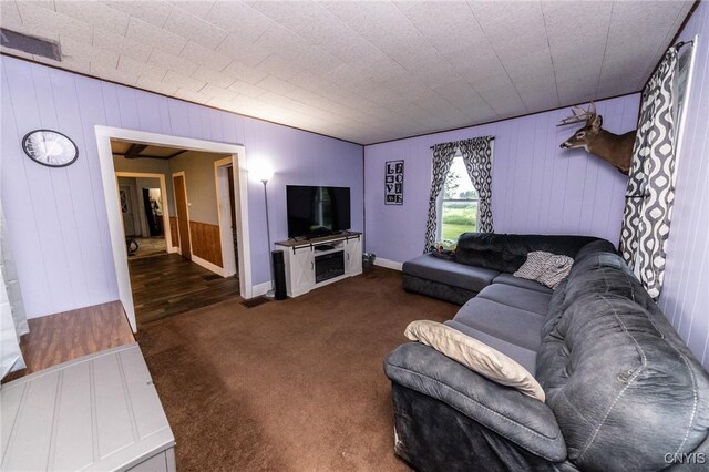 7750 State Route 812, New Bremen, NY 13367 - carpeted living area featuring wood walls and baseboards