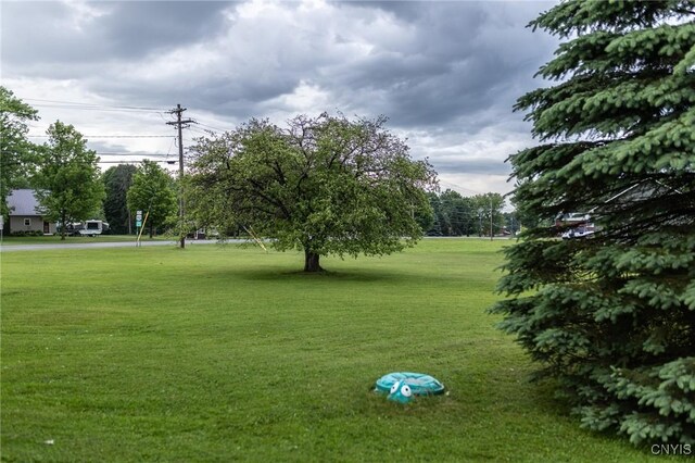 7750 State Route 812, New Bremen, NY 13367 - view of property's community featuring a yard