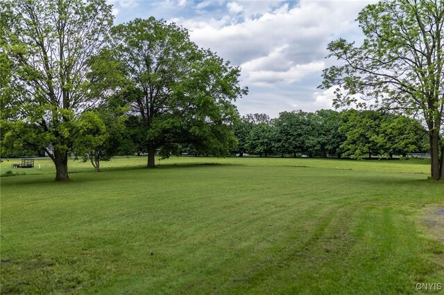 7750 State Route 812, New Bremen, NY 13367 - view of green lawn