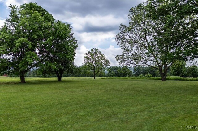 7750 State Route 812, New Bremen, NY 13367 - view of grassy yard