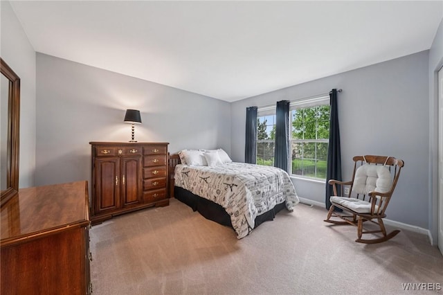 9377 Juniper Pl, Clarence, NY 14032 - bedroom with light carpet and baseboards