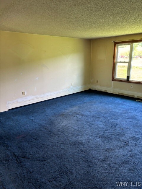 7491 S Grove Rd, Lyndon, NY 14737 - unfurnished room featuring dark colored carpet, a textured ceiling, and baseboards