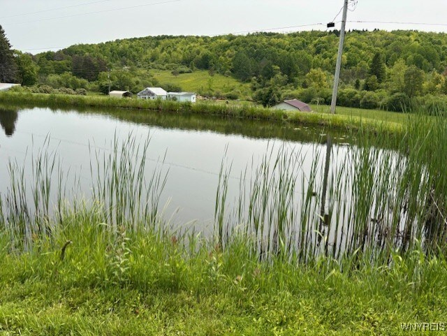 7491 S Grove Rd, Lyndon, NY 14737 - water view with a forest