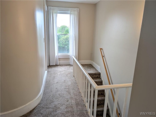 11131 Lakeshore Rd, Yates, NY 14098 - hallway featuring carpet and baseboards